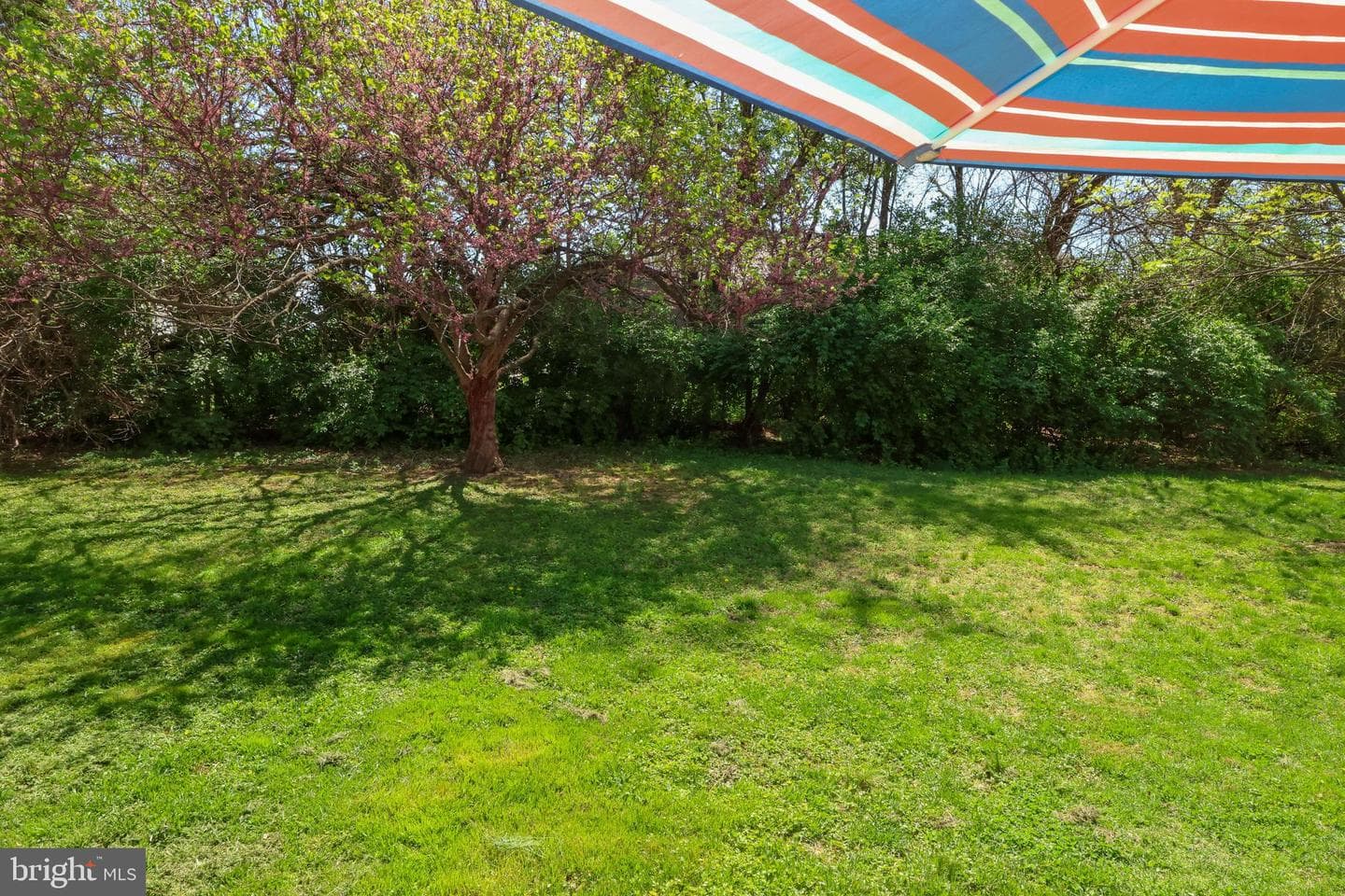 14053 Sweet Vale Drive photo 29