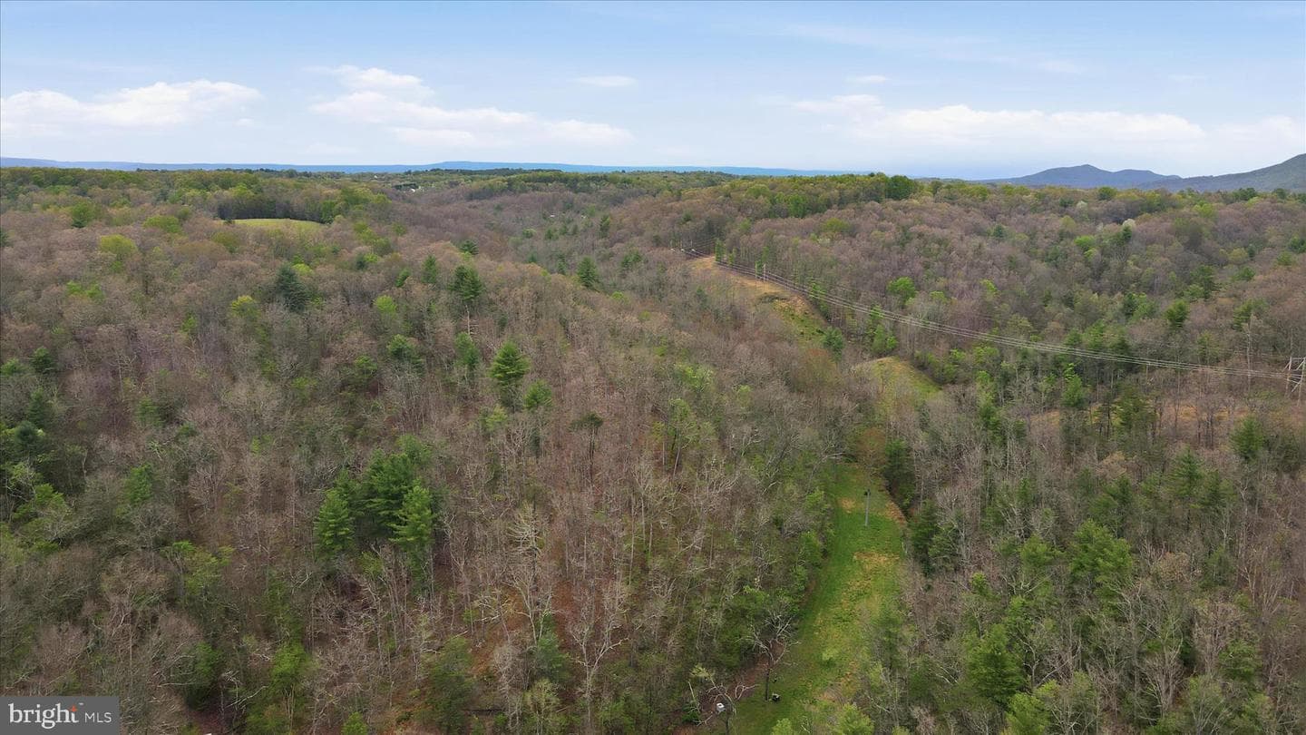 13834 Hollow Road photo 44