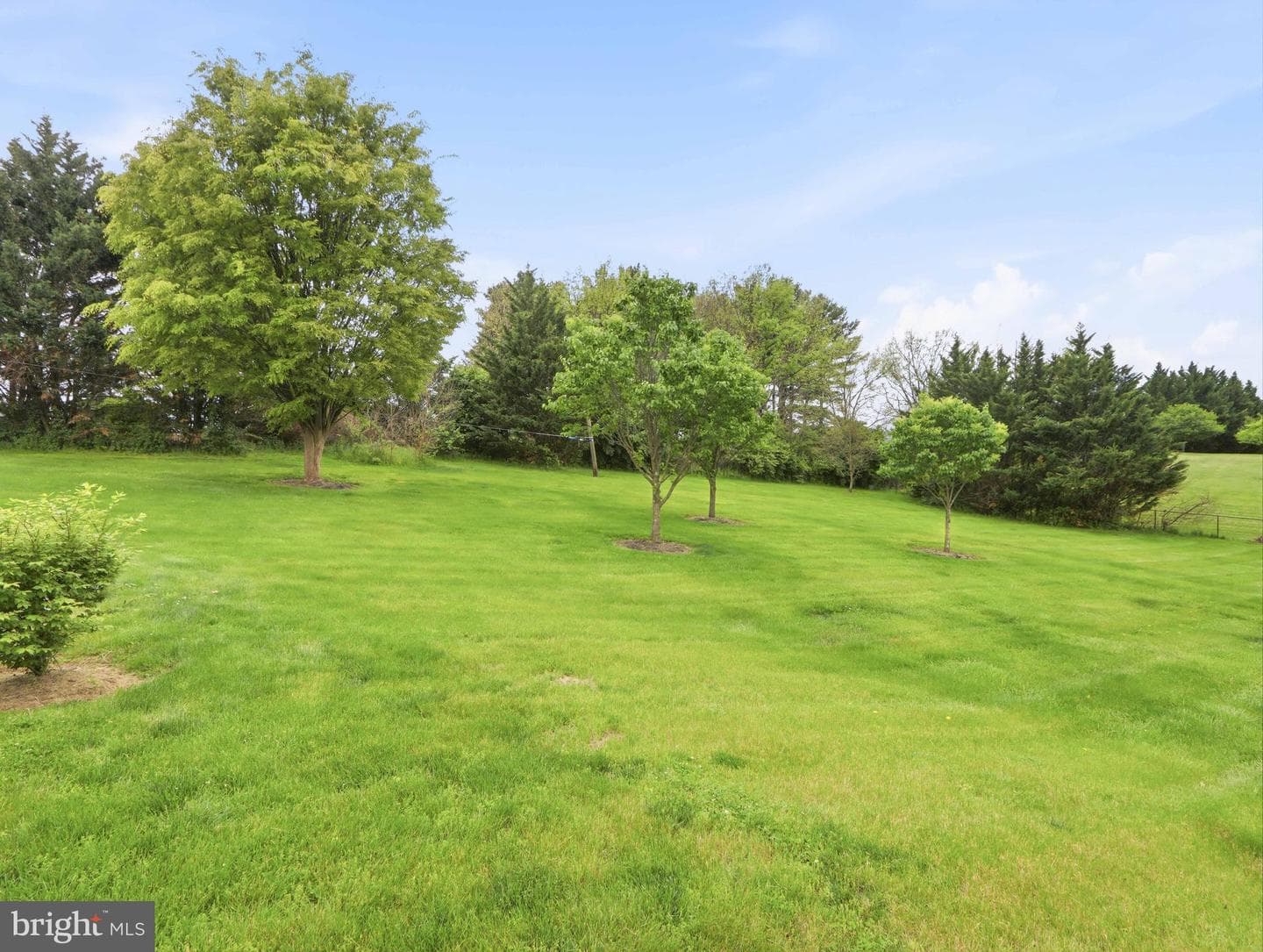 17123 Bivens Lane photo 74