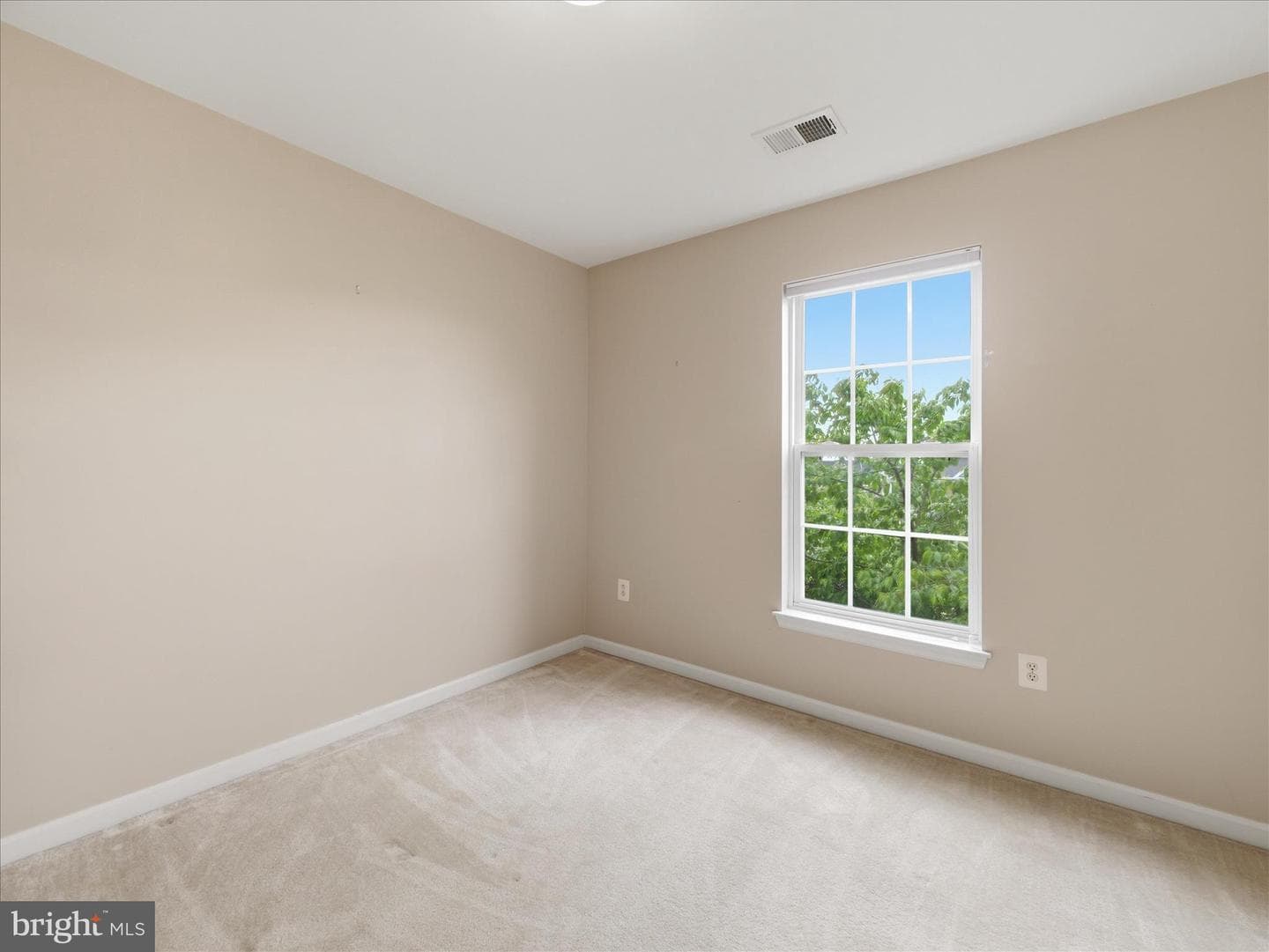 17656 Potter Bell Way photo 31