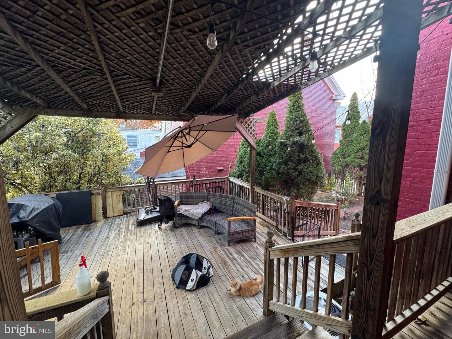 54 Randolph Avenue photo 25
