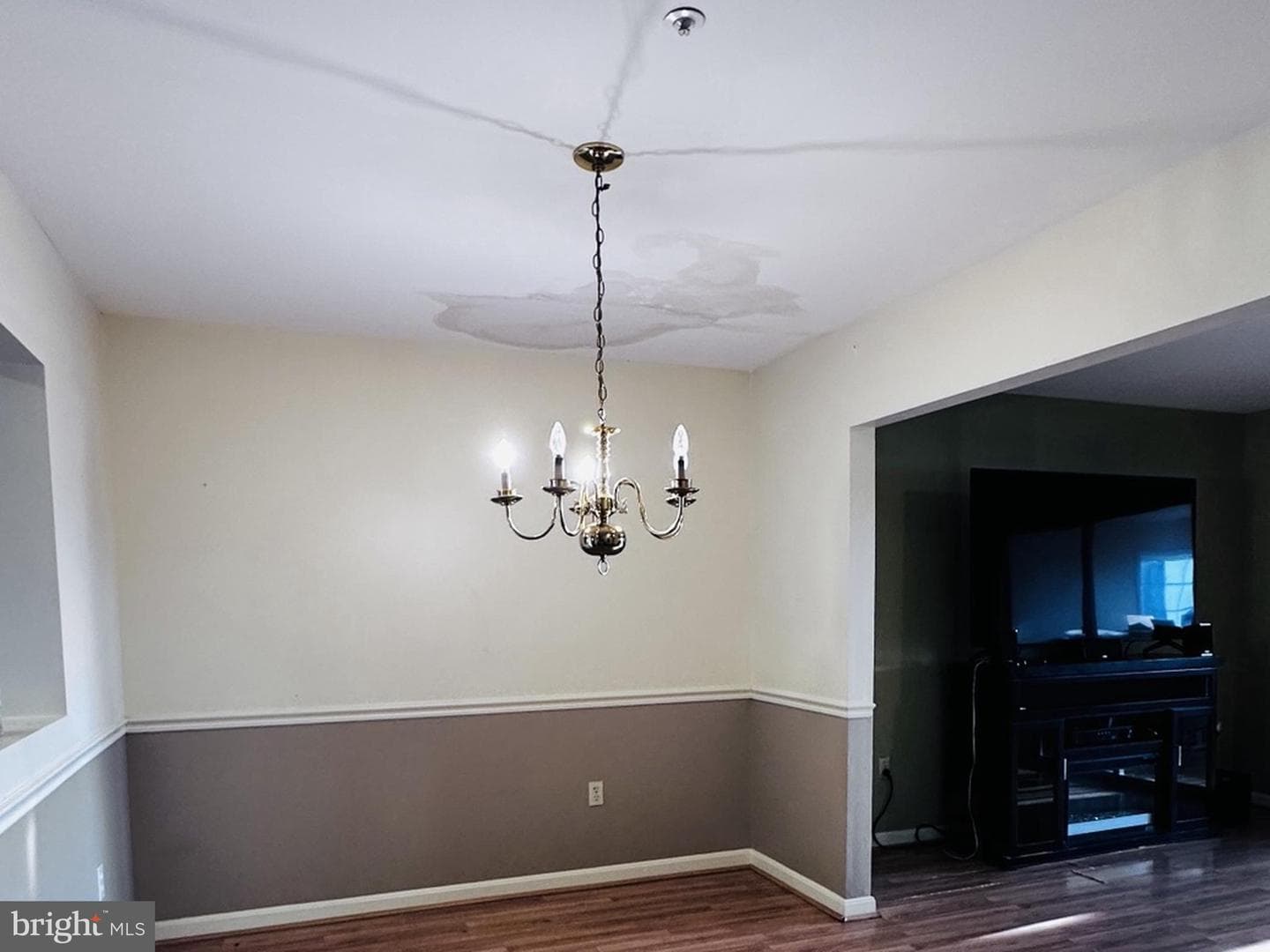62 Johnson Terrace photo 4