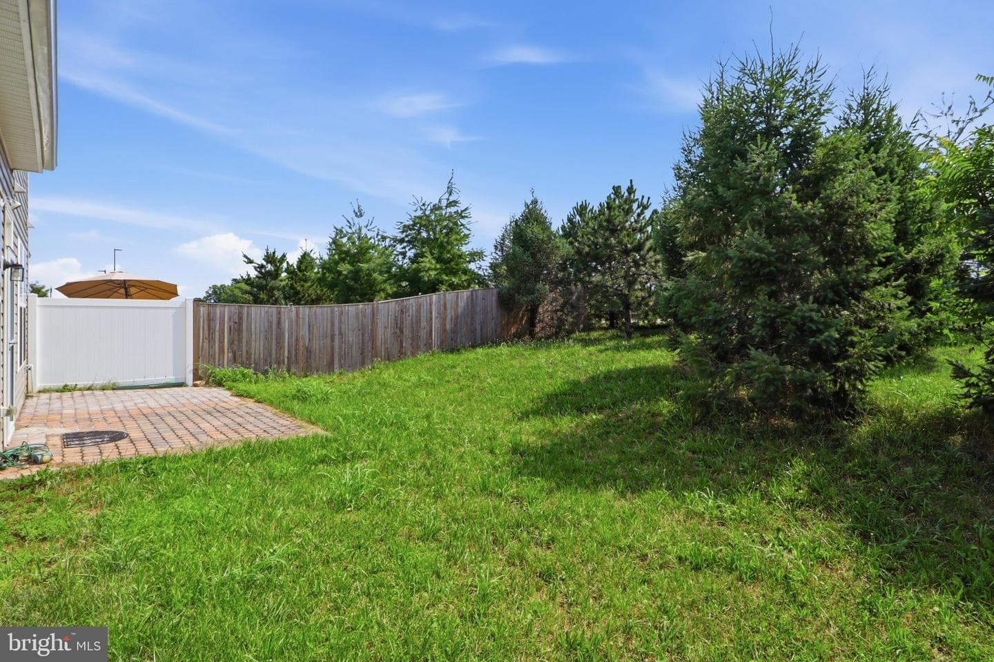 10243 Rashti Court photo 30