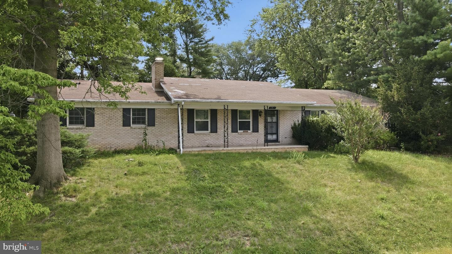 11911 Sycamore Drive photo 3