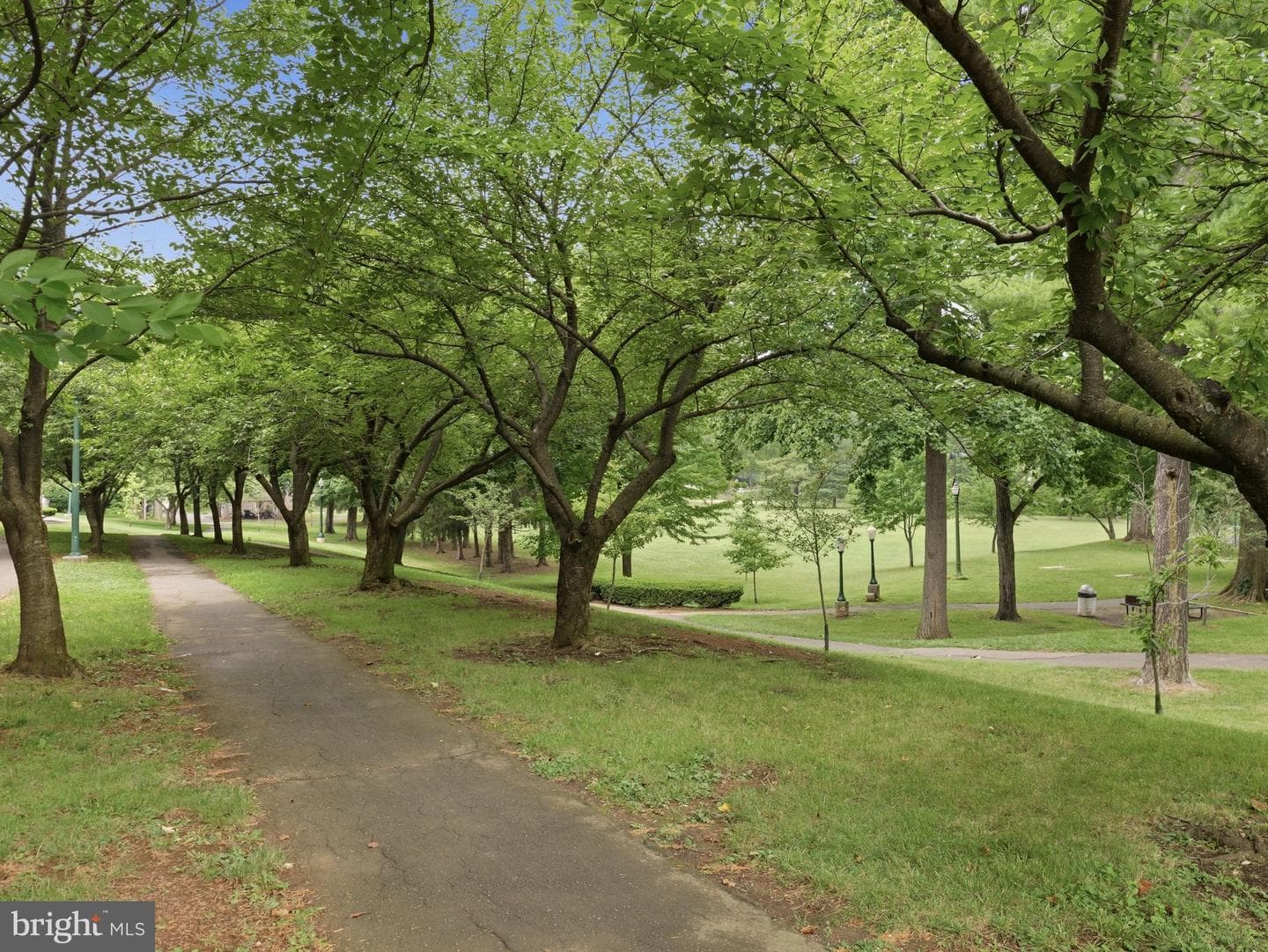 165 Brynwood Street photo 60
