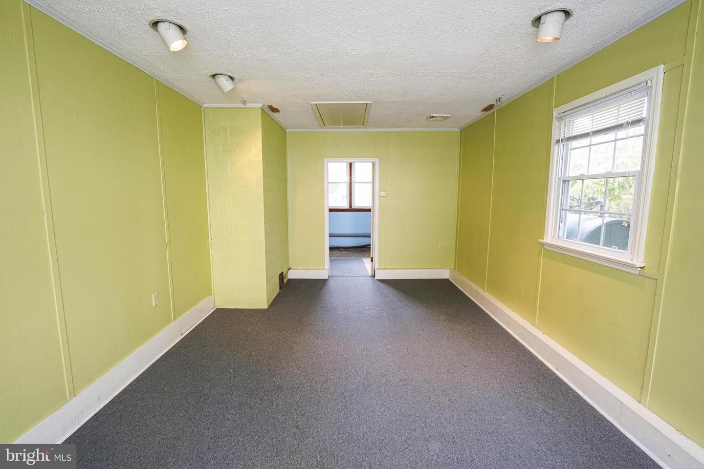 707 Camellia Road photo 27
