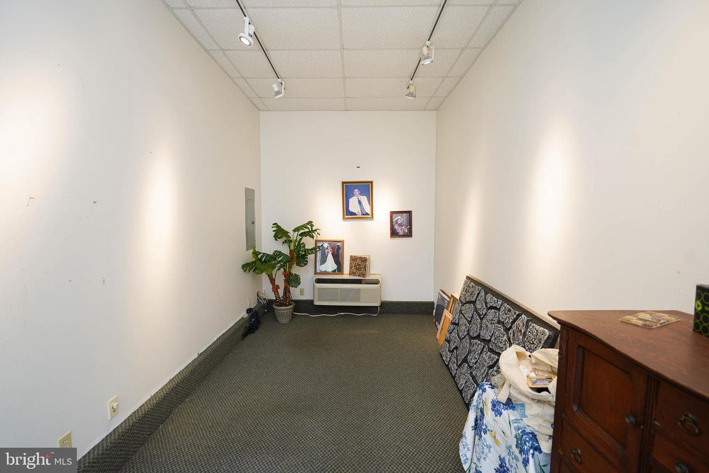707 Camellia Road photo 49