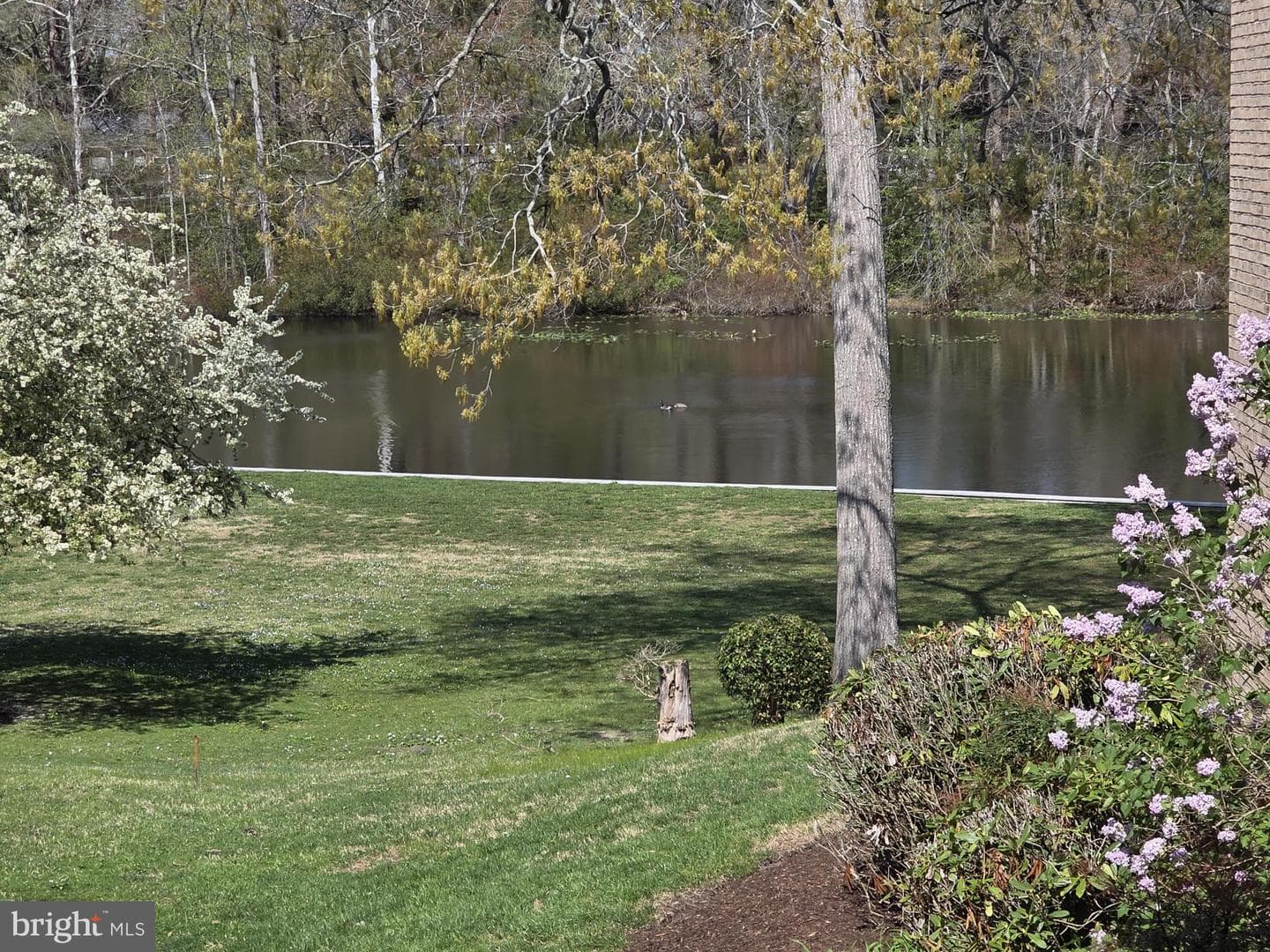 227 Canal Park Drive #206 photo 31