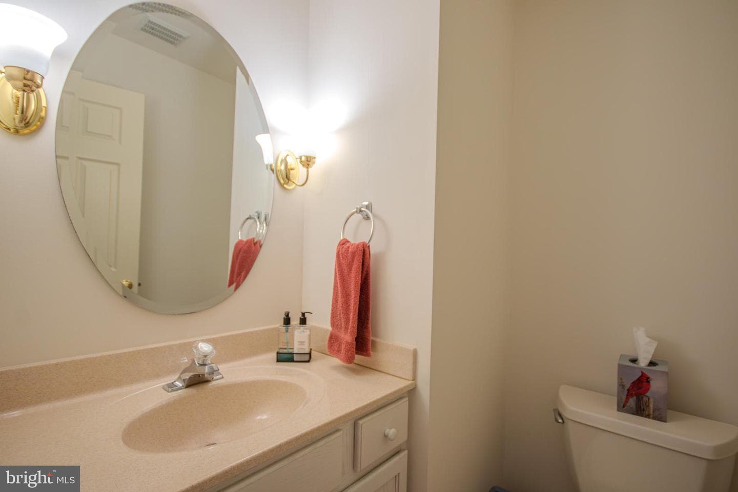 223 Creekside Drive photo 18