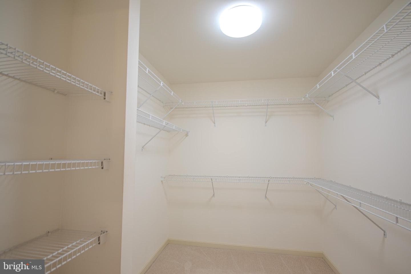 223 Creekside Drive photo 24