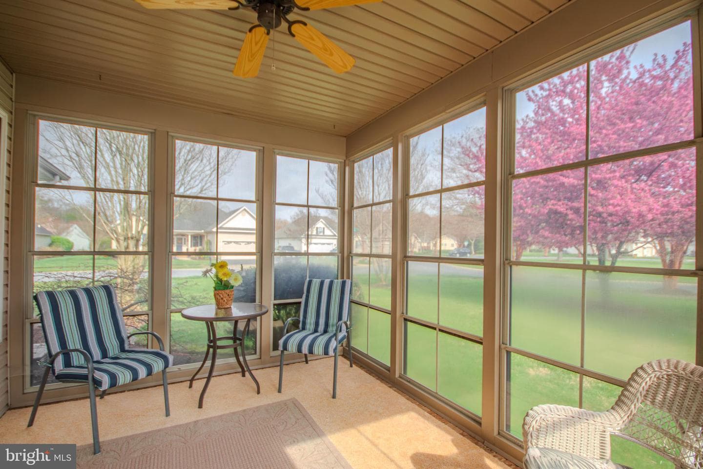 223 Creekside Drive photo 40