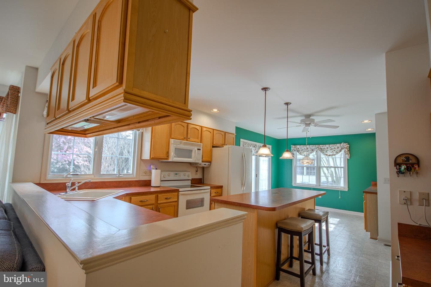 223 Creekside Drive photo 9
