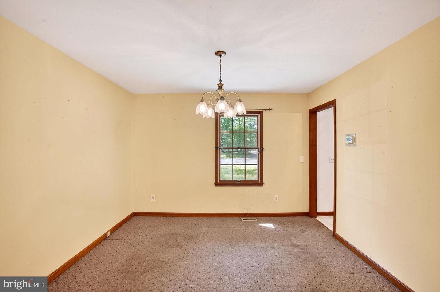 1005 Lantern Hill Court photo 13