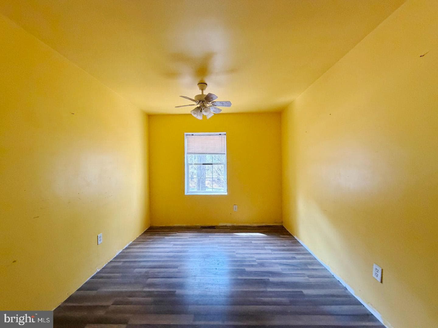 1709 Emerson Avenue photo 23