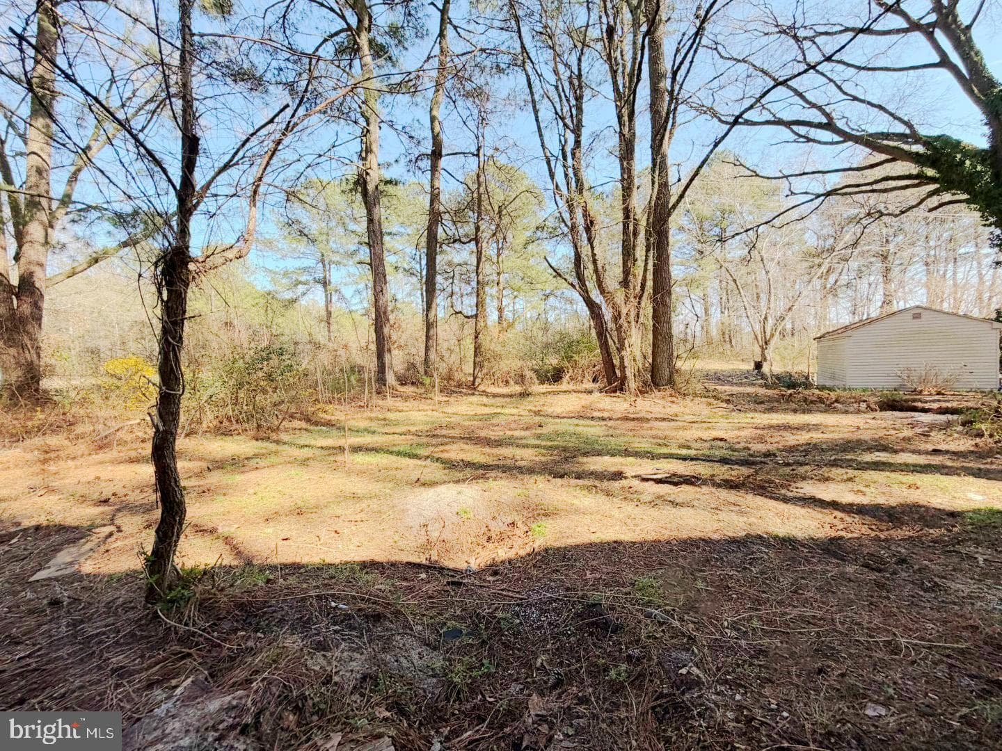 1709 Emerson Avenue photo 36