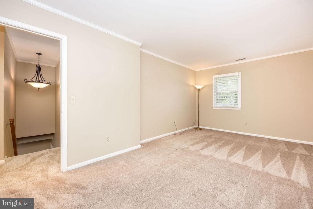8928 Lynch Drive photo 56