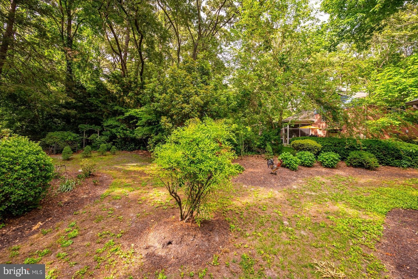 509 Dogwood Drive photo 67