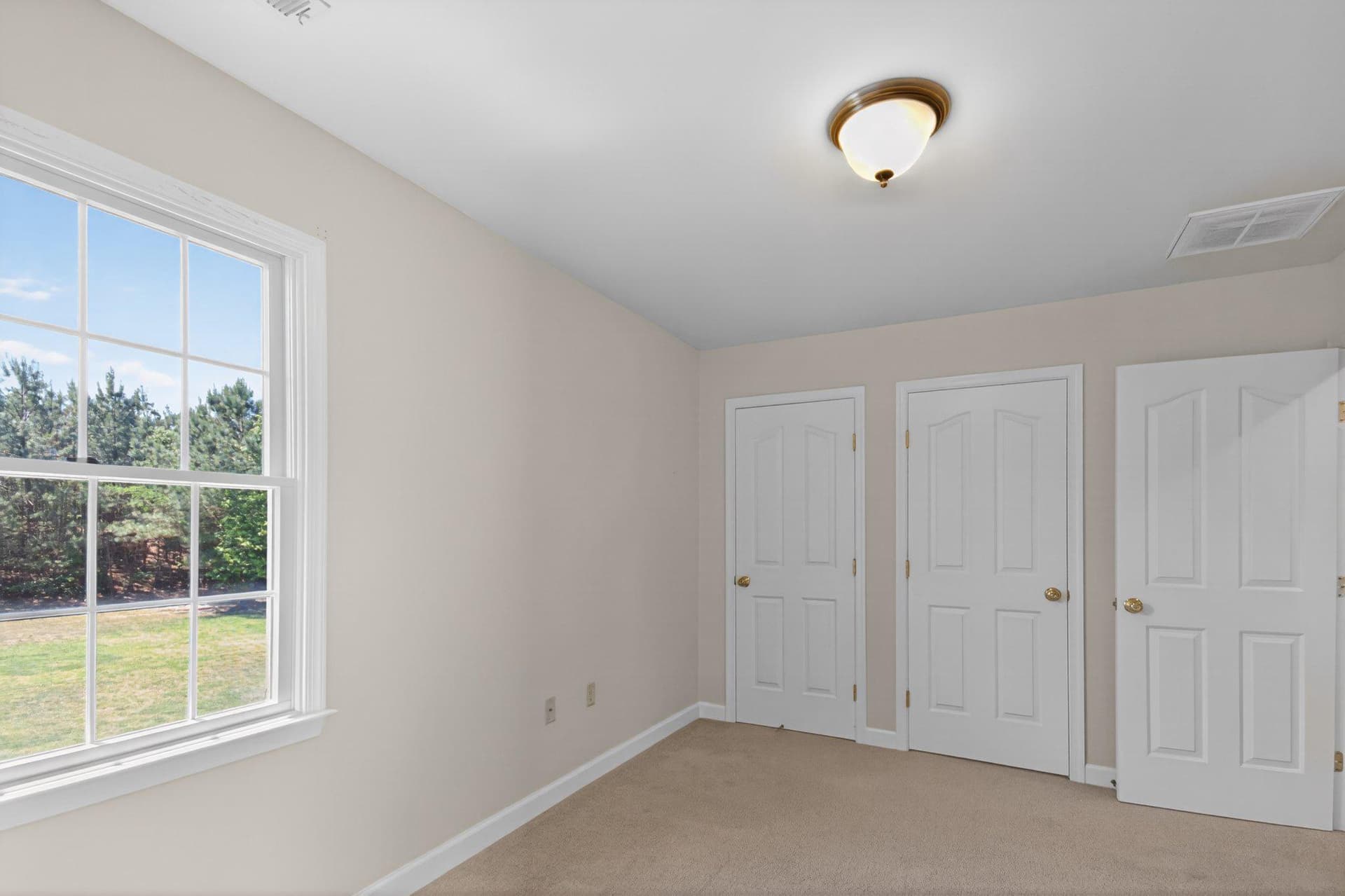 313 Gunbys Mill Drive photo 23