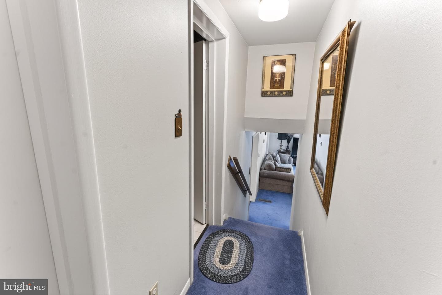 610 Terrapin photo 31