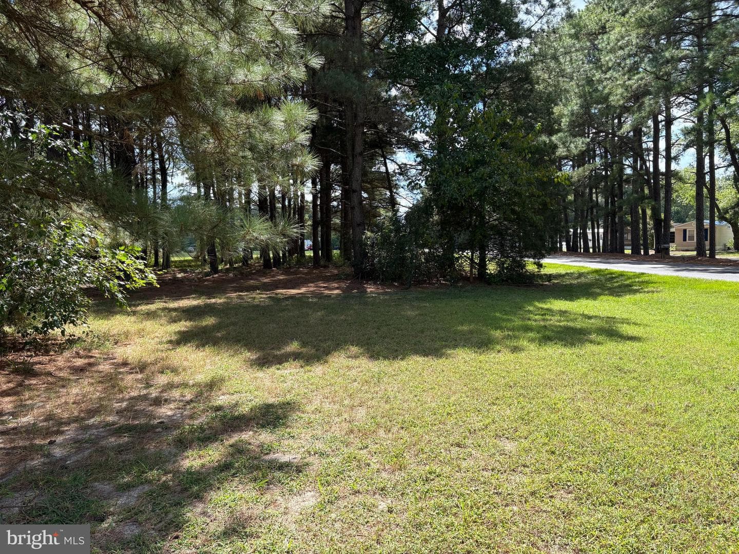 31867 Shavox Road photo 36