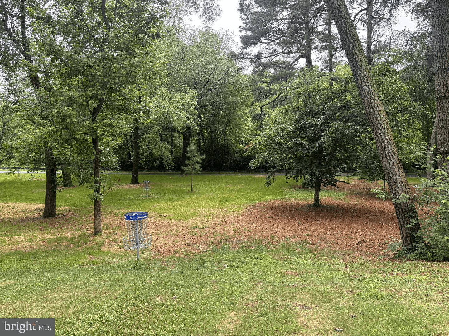 228 Glen Avenue photo 31