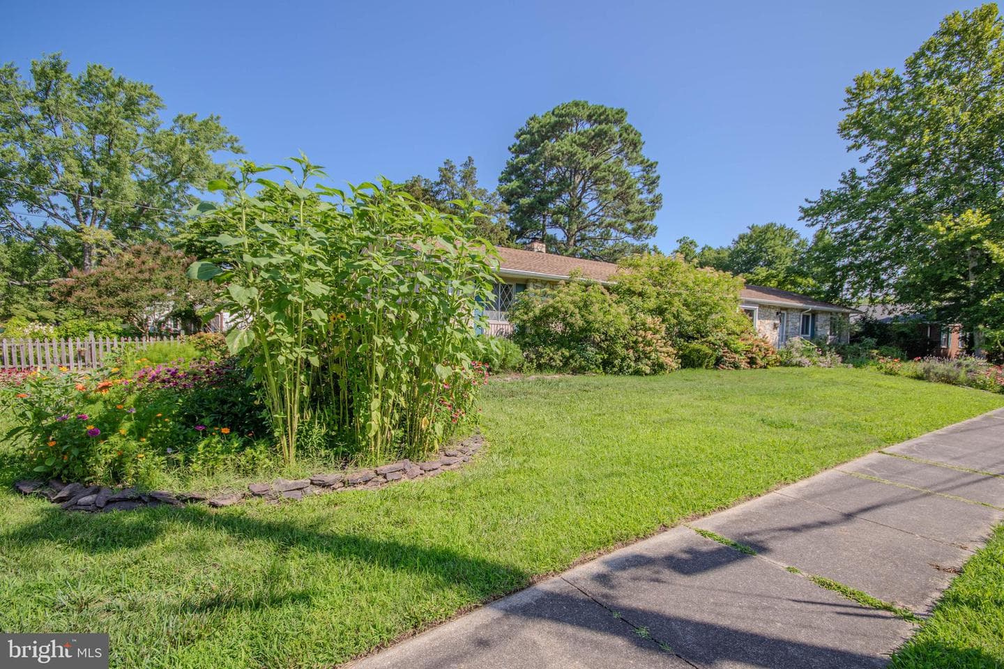 816 Riverside Drive photo 58