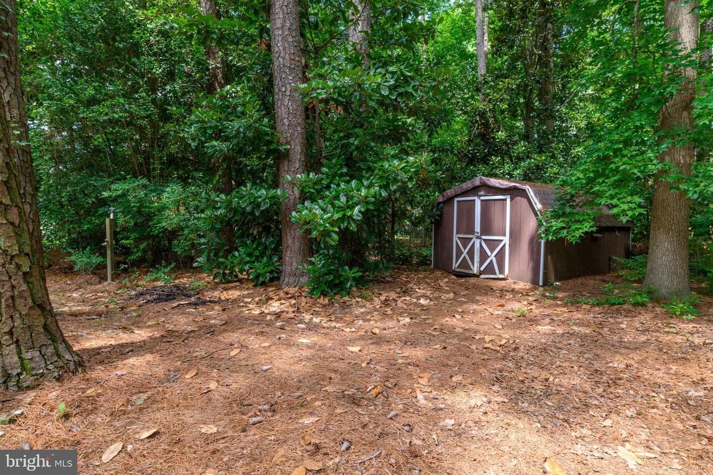 621 Douglas Road photo 47