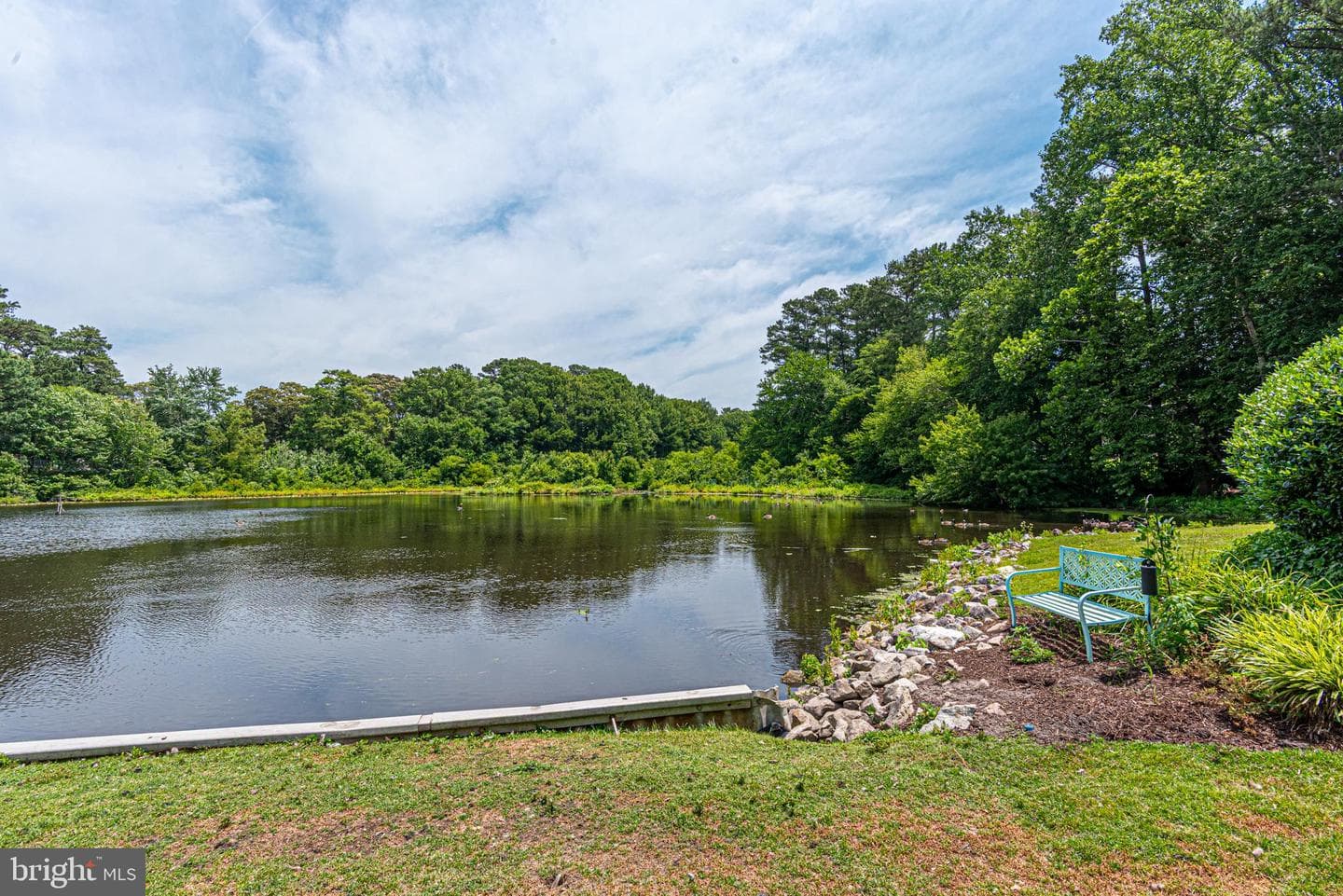 227 Canal Park Drive #301 photo 16