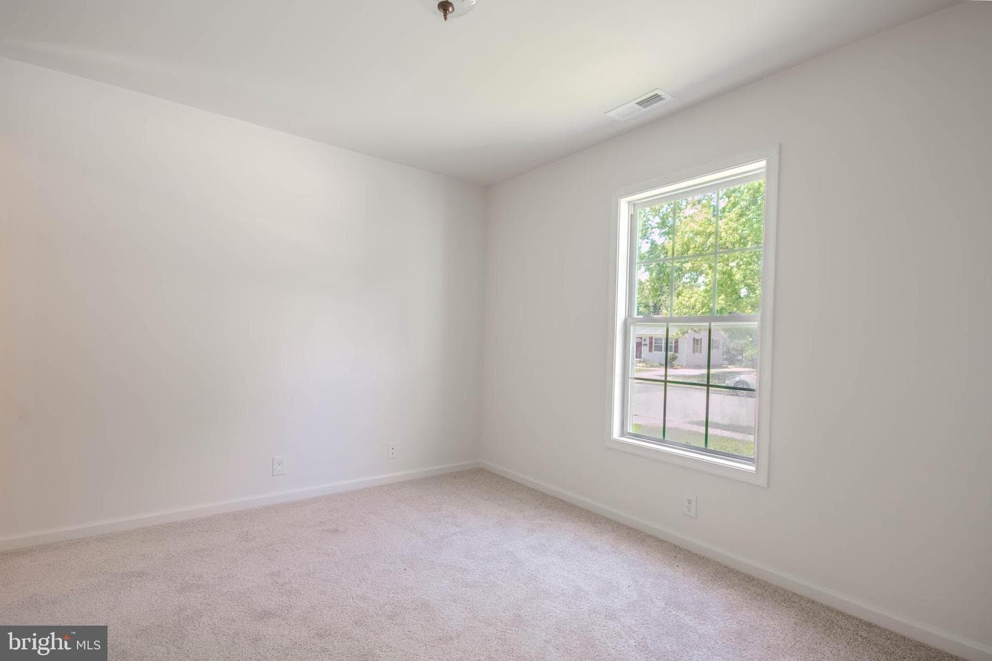 811 Springfield Circle photo 12