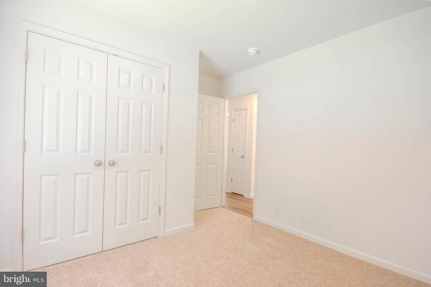 811 Springfield Circle photo 18