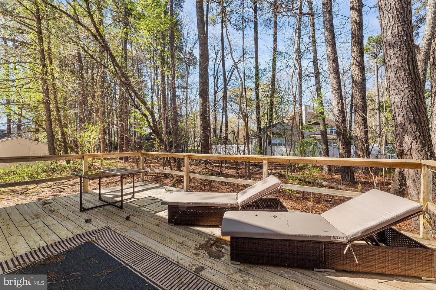 6262 White Cove Drive photo 44