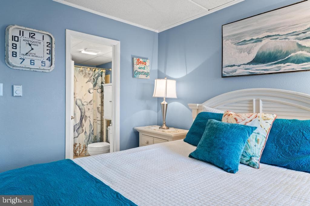 169 Jamestown Road #20601 photo 15