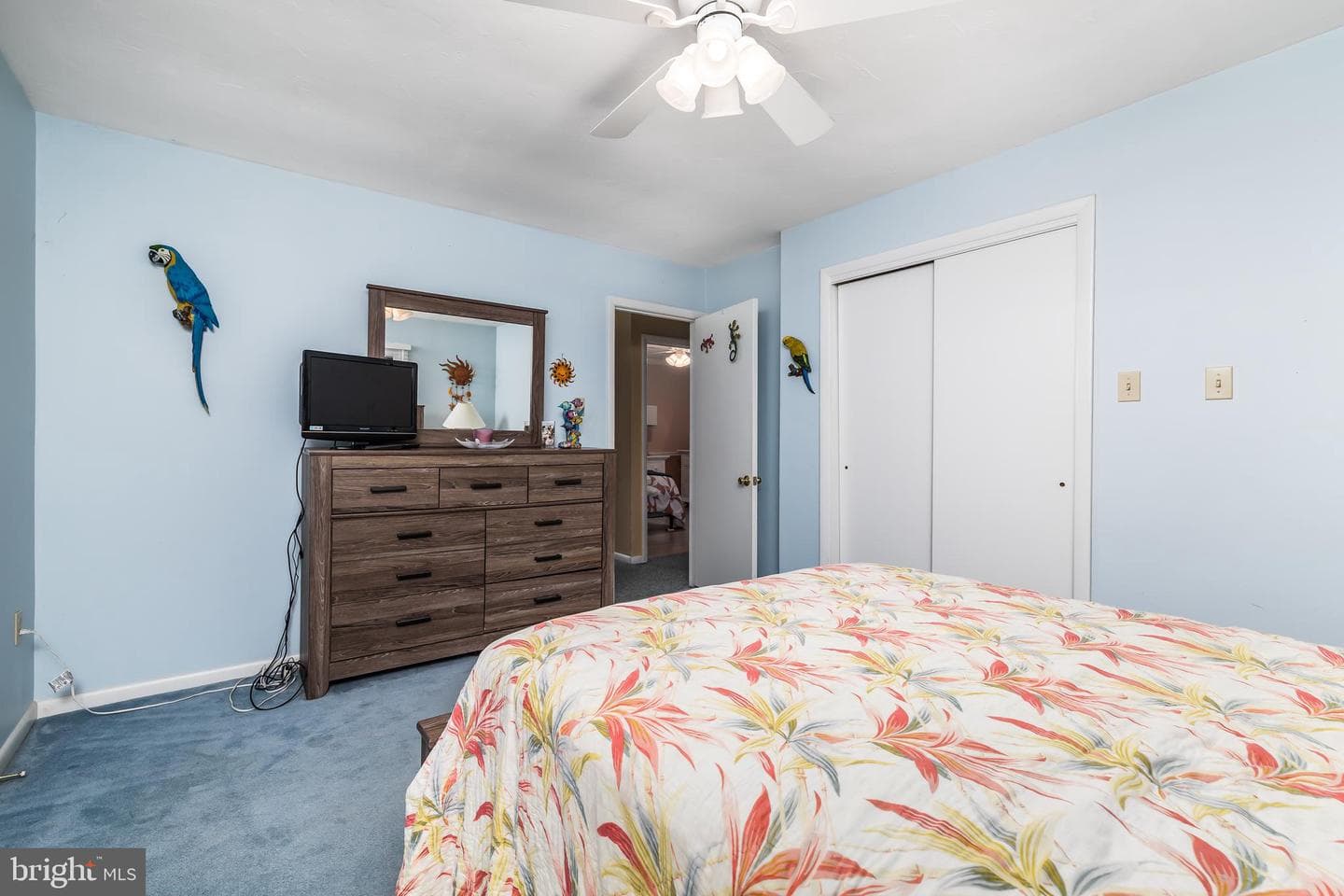 289 Ocean photo 21