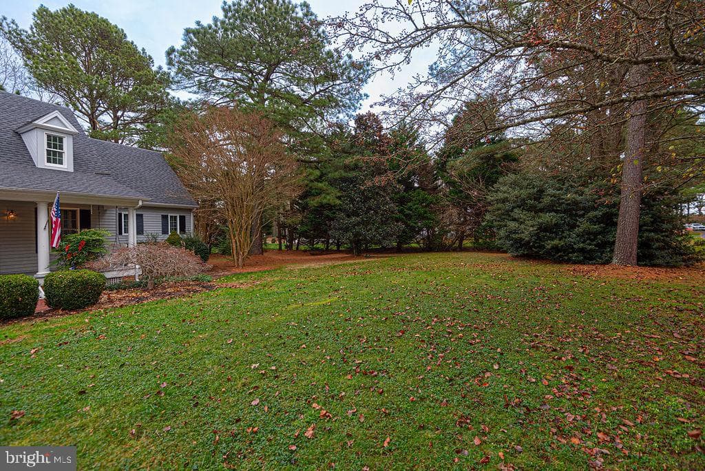 10641 Piney Island Dr photo 63