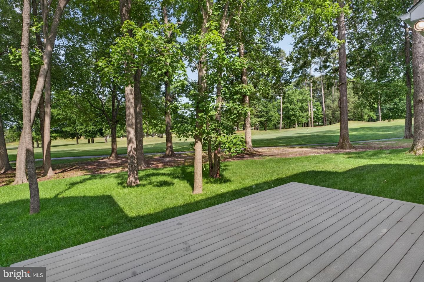 11818 River Run Ln photo 69