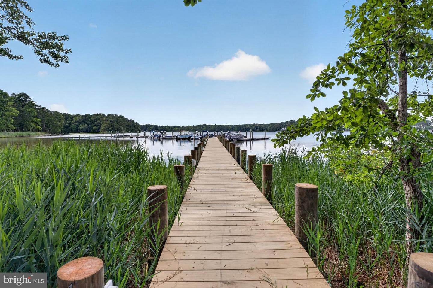 11818 River Run Ln photo 82