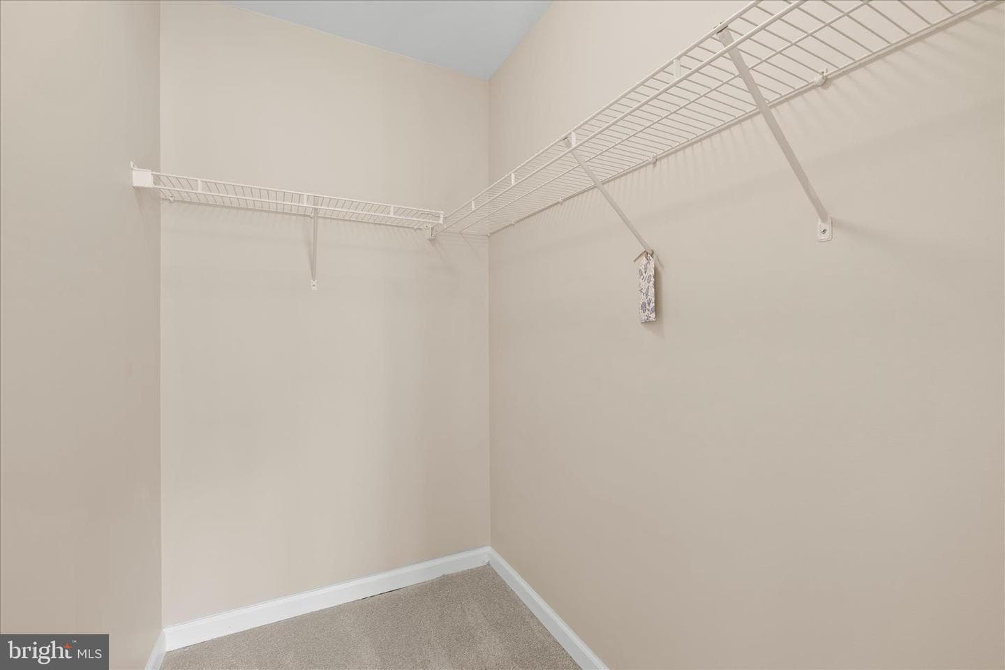 26 White Crane Drive photo 30