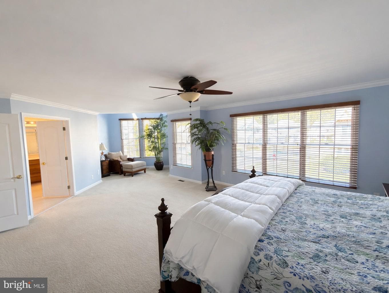 12200 Ocean Vista Drive photo 15