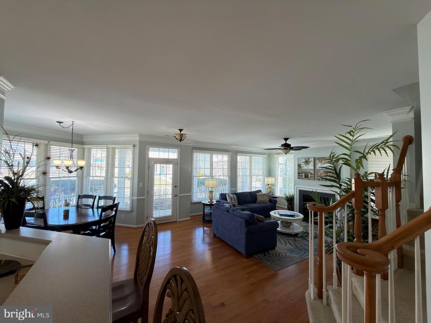 12200 Ocean Vista Drive photo 3