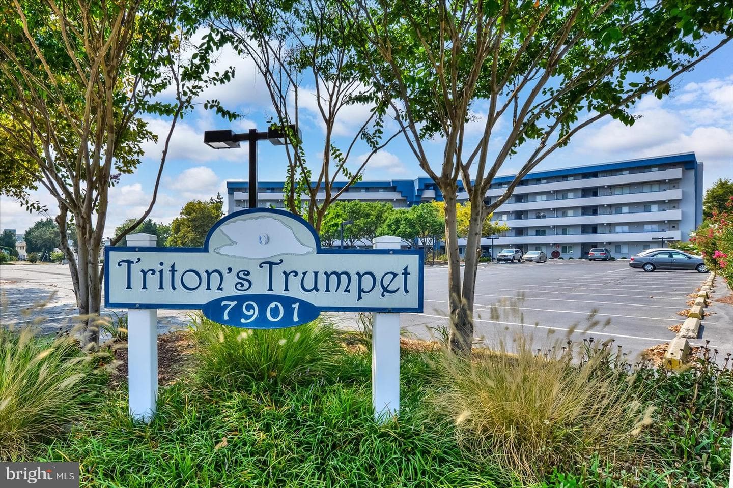 7901 Coastal Highway #a40401 photo 39