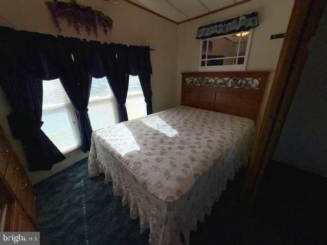 389 Seahawk Lane photo 22