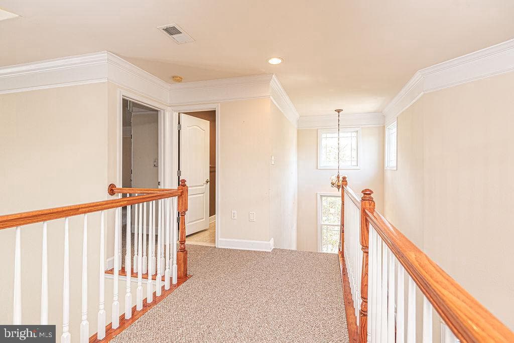 11834 Man O War Lane photo 73