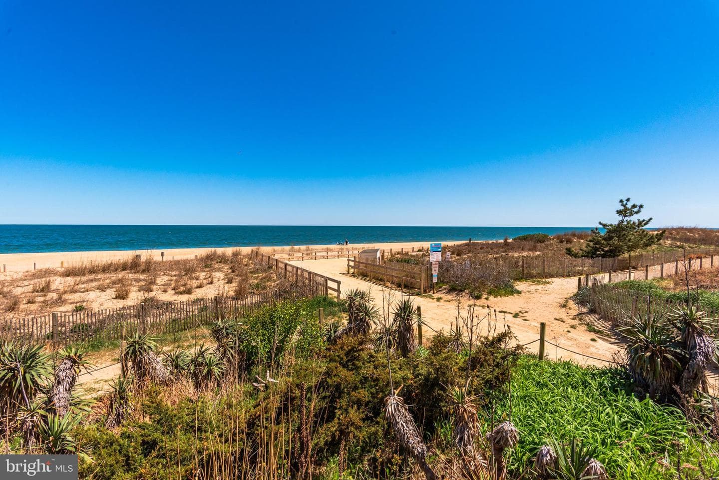 11000 Coastal Highway #808 photo 82