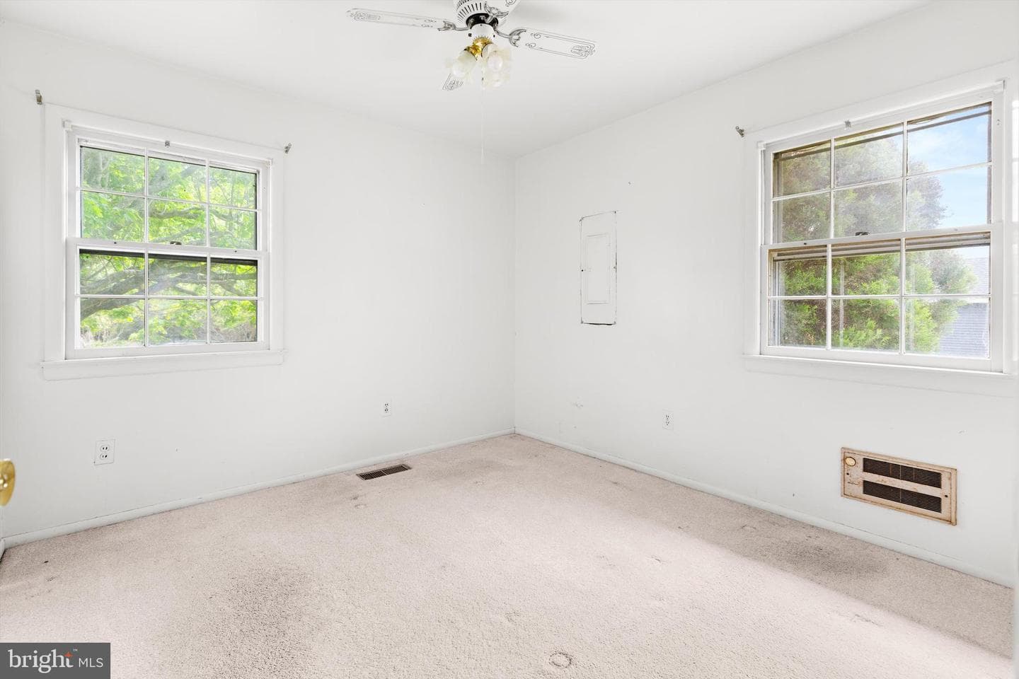 12435 Salisbury Road photo 18