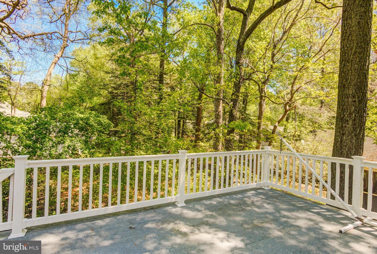 127 Nottingham Lane photo 60