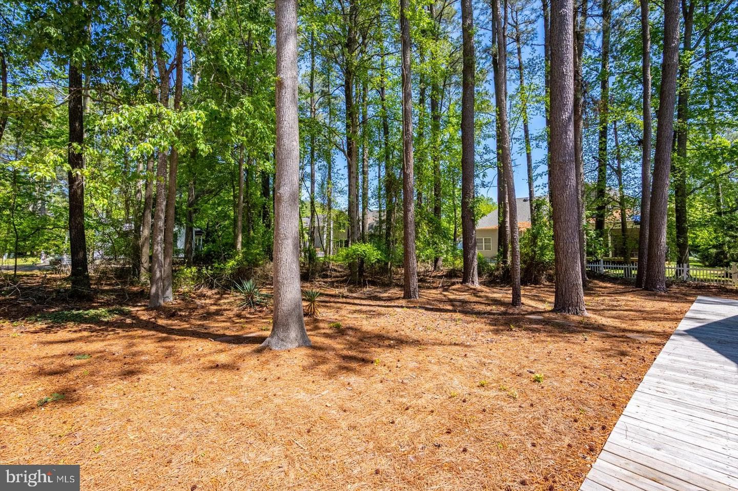 118 Robin Hood Trl photo 11