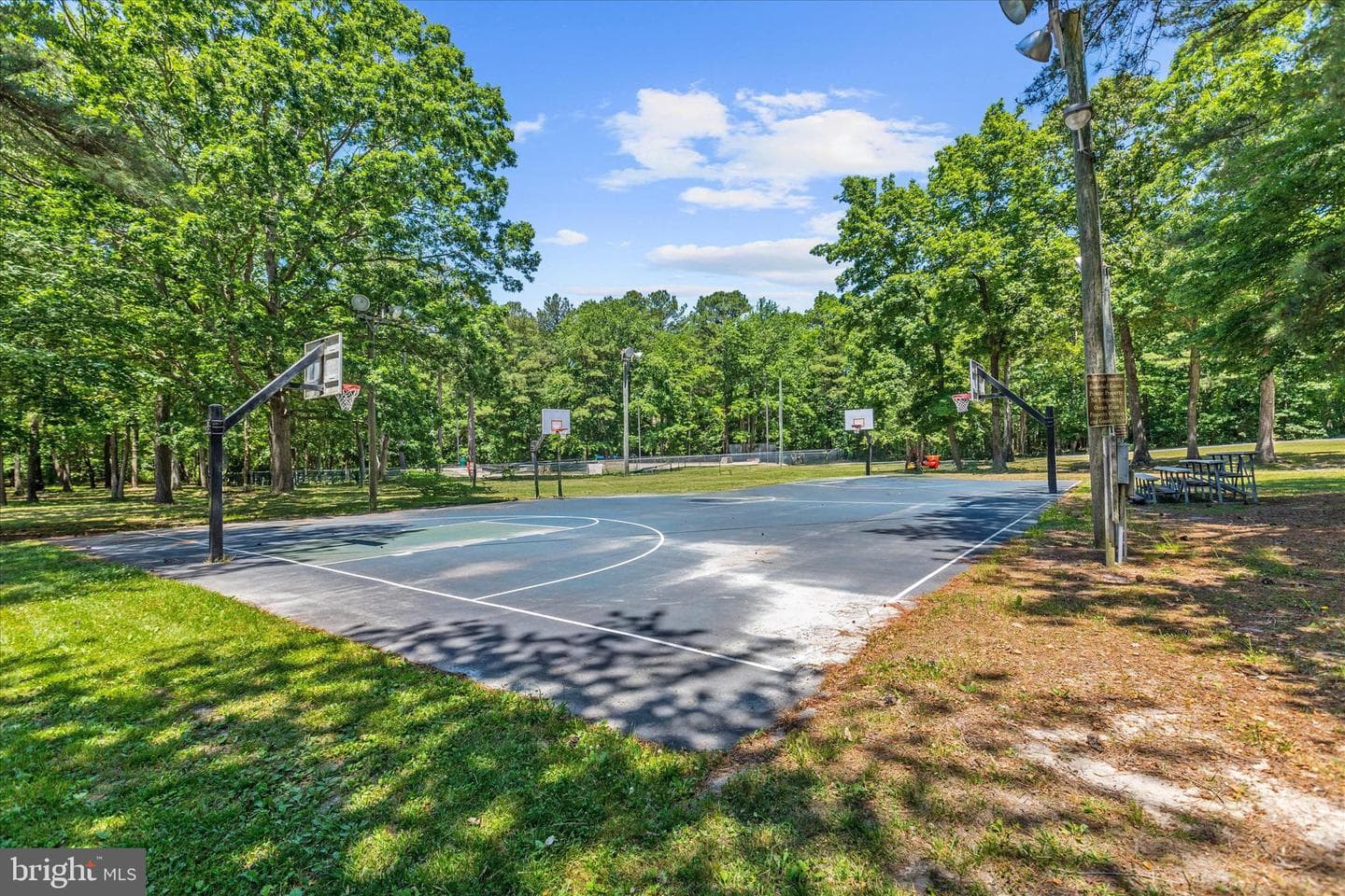 11 Burr Hill Drive photo 65