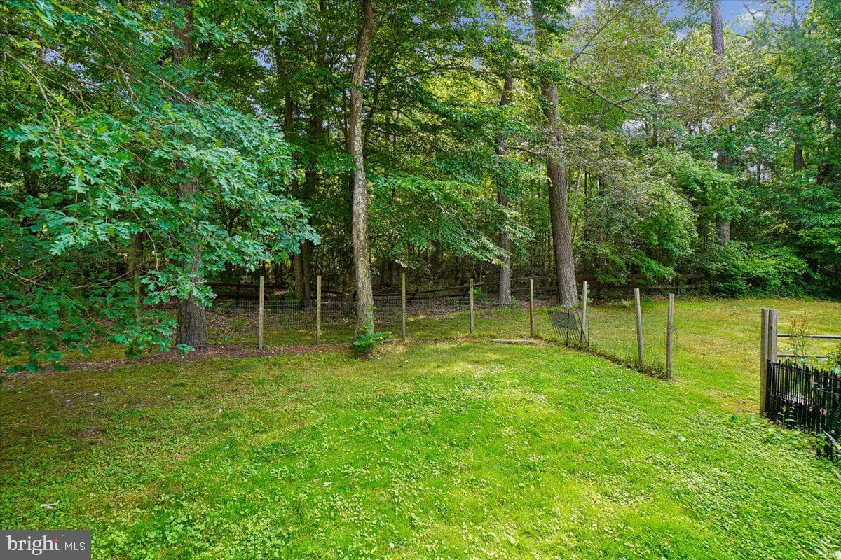 10541 Shady Dr photo 39