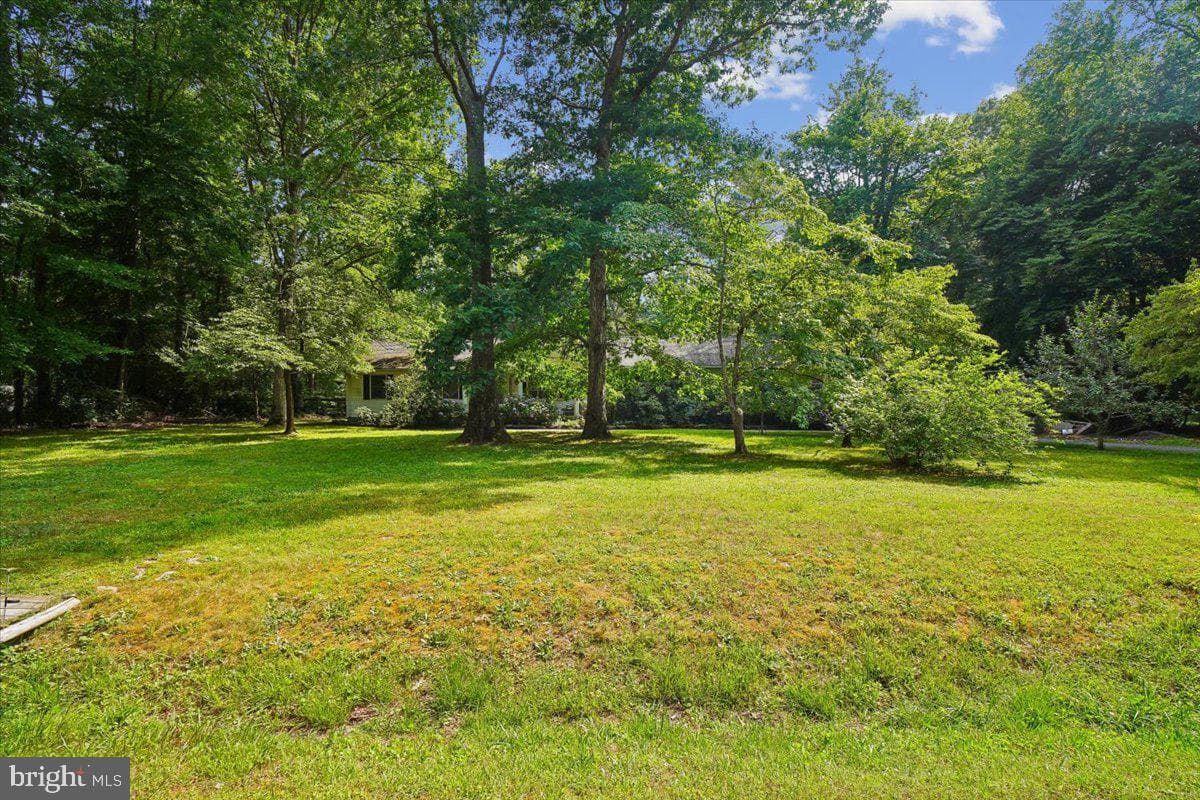 10541 Shady Dr photo 6