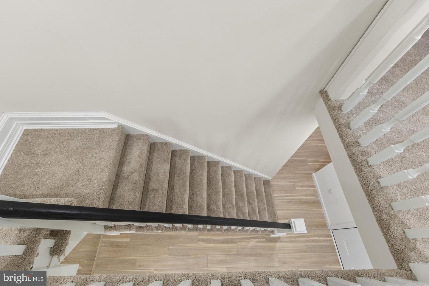 12 Burley Street photo 46